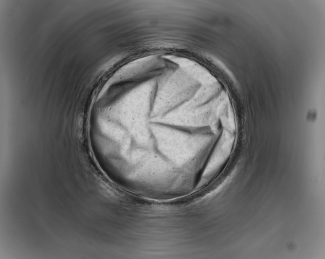 X0000101410777200808041103