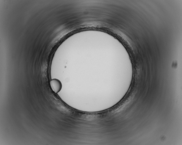 X0000101410778200808041103