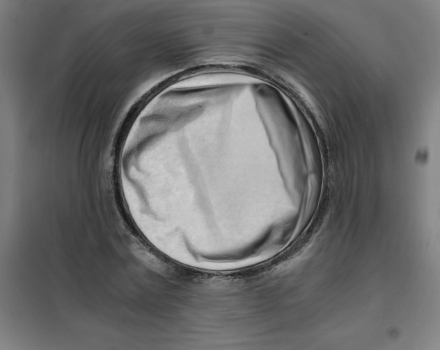X0000101410779200808041103