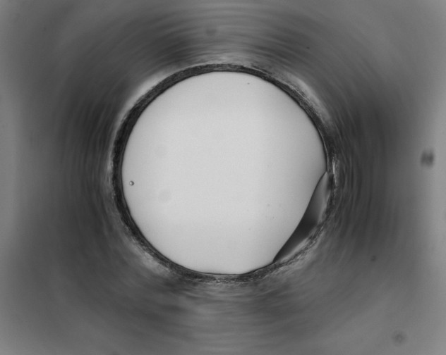 X0000101410780200808041103
