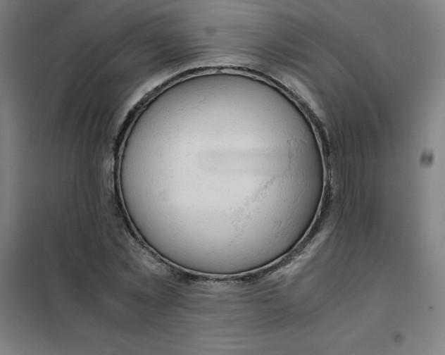 X0000101410781200808041103