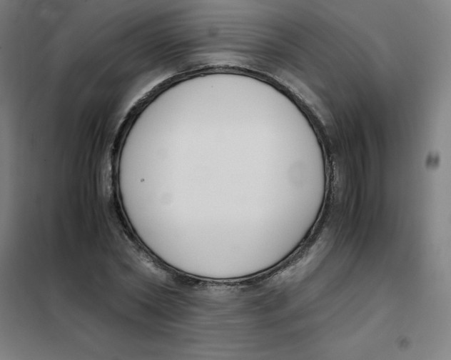 X0000101410782200808041103