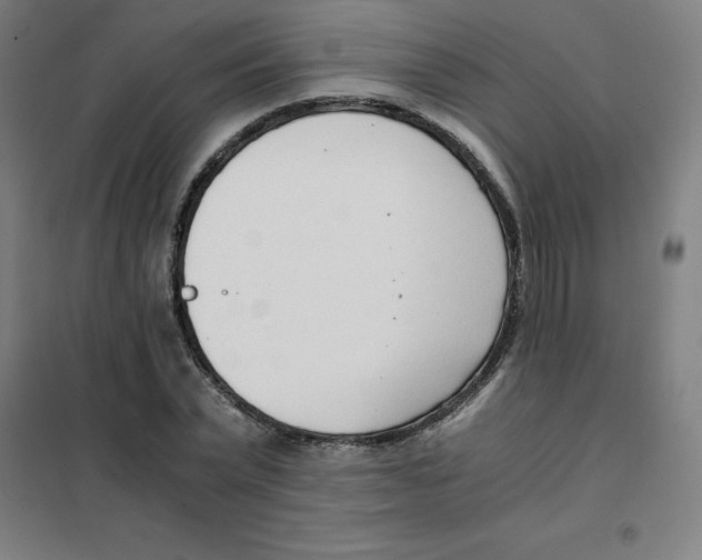 X0000101410783200808041103