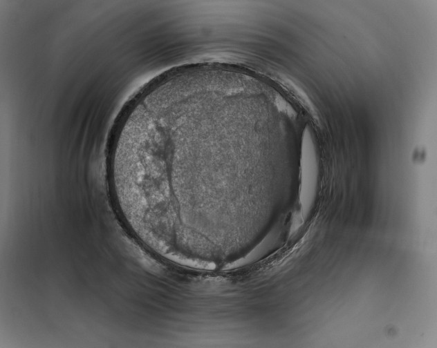 X0000101410784200808041103
