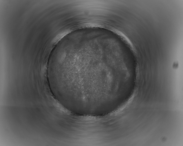 X0000101410785200808041103