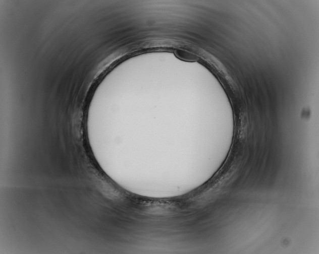 X0000101410786200808041103