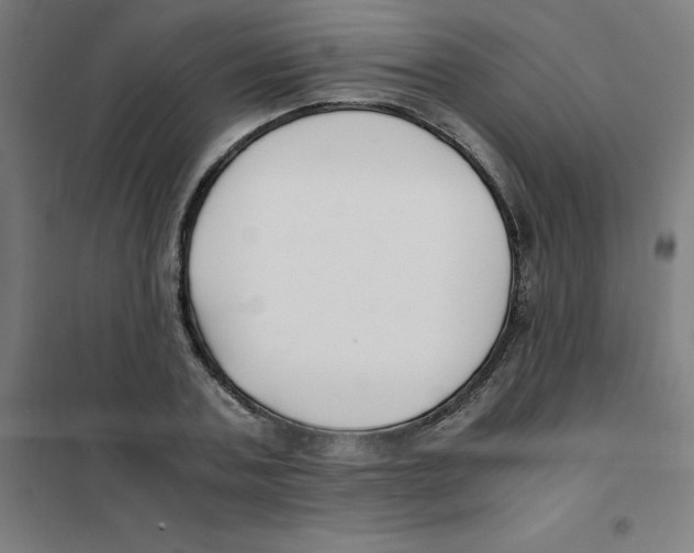 X0000101410787200808041103
