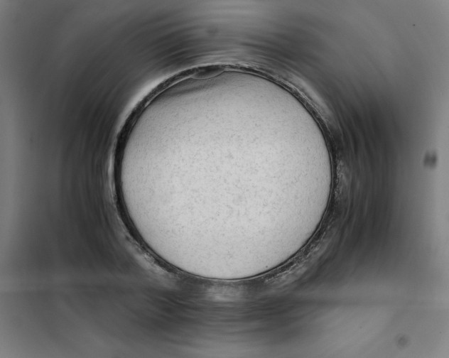 X0000101410788200808041103