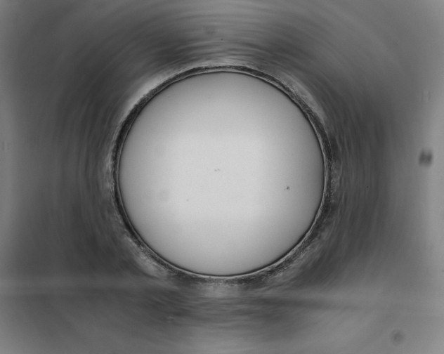 X0000101410789200808041103