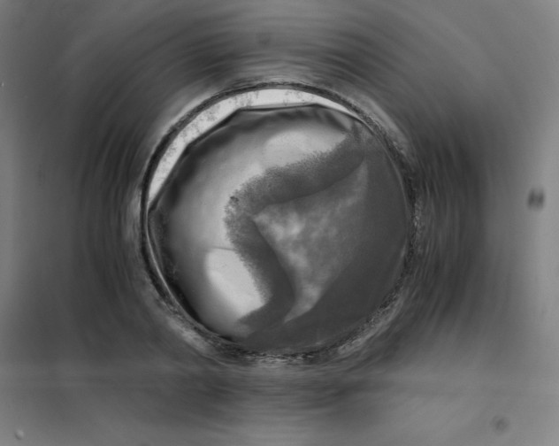X0000101410790200808041103