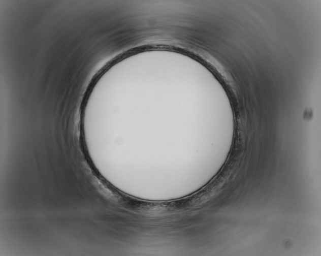 X0000101410791200808041103