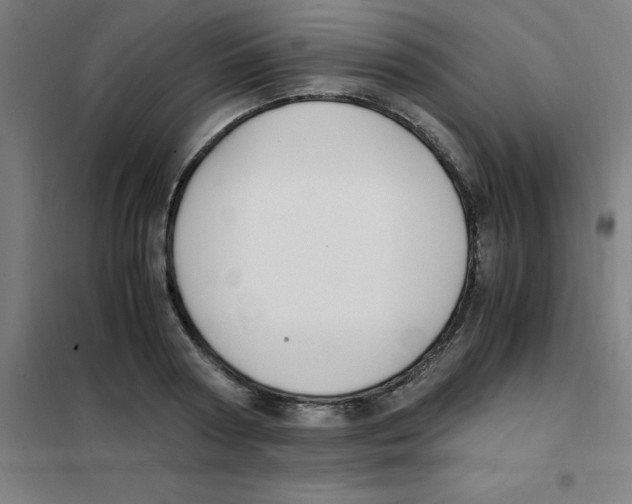 X0000101410794200808041103