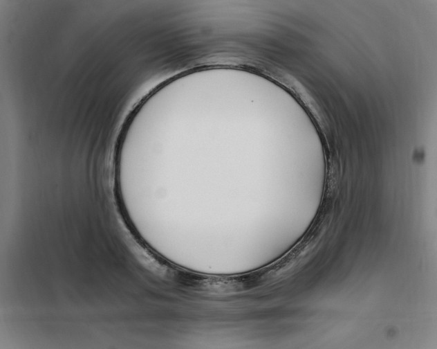 X0000101410795200808041103
