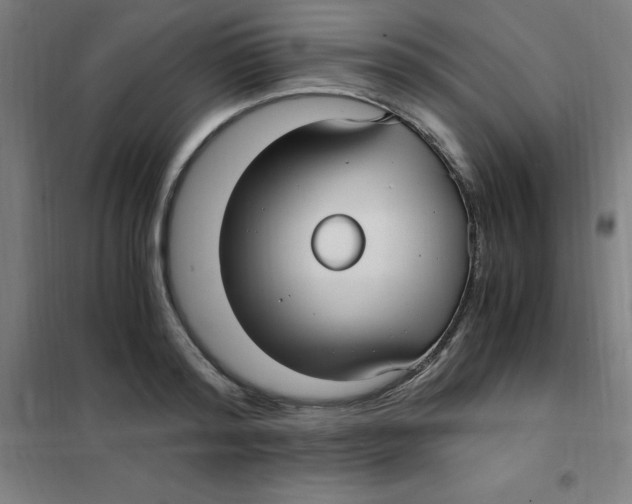 X0000101410796200808041103