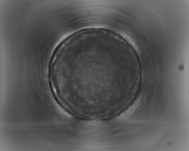 X0000101410797200808041103