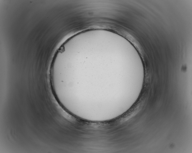 X0000101410803200808041103