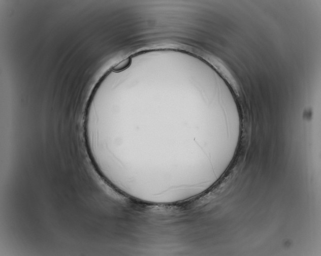 X0000101410805200808041103