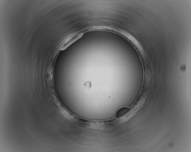 X0000101410809200808041103