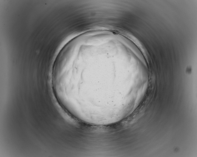 X0000101410811200808041103