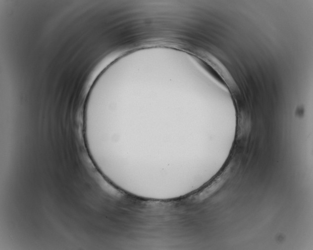 X0000101410812200808041103