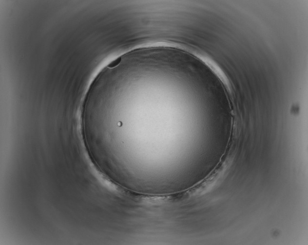 X0000101410813200808041103