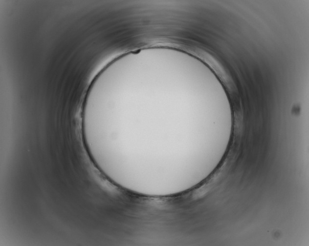 X0000101410814200808041103