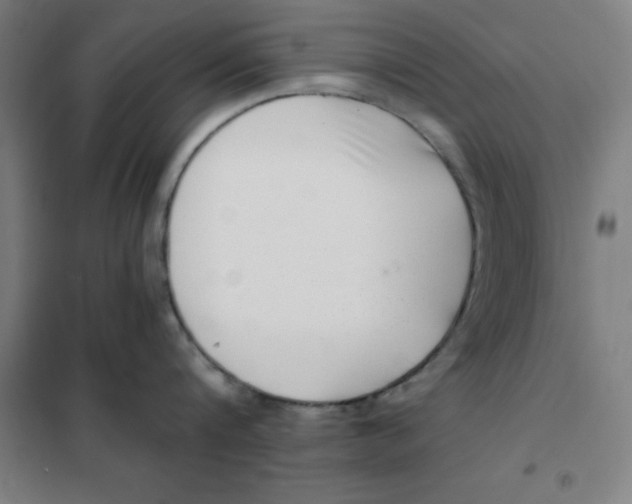 X0000101410816200808041103