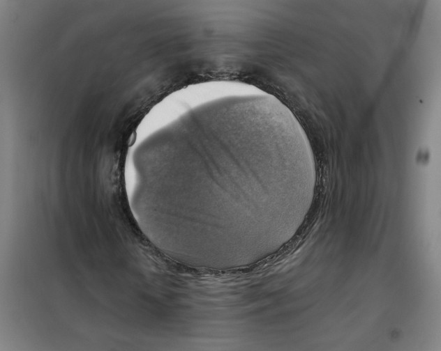 X0000101410818200808041102
