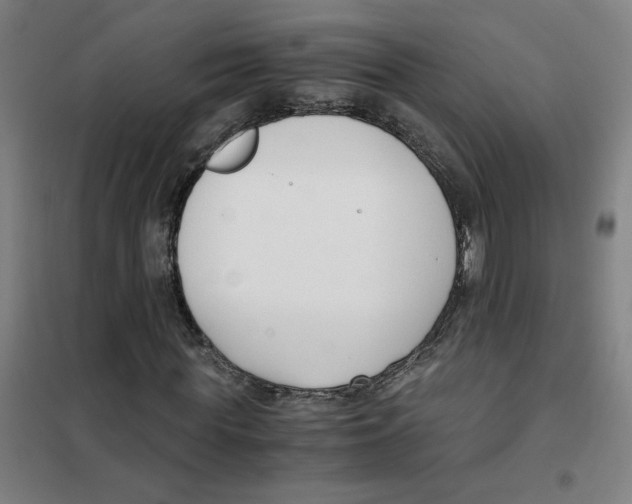 X0000101410819200808041102