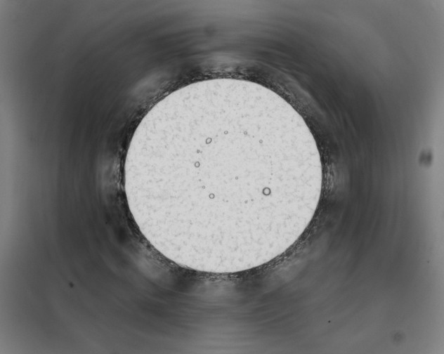 X0000101410820200808041102