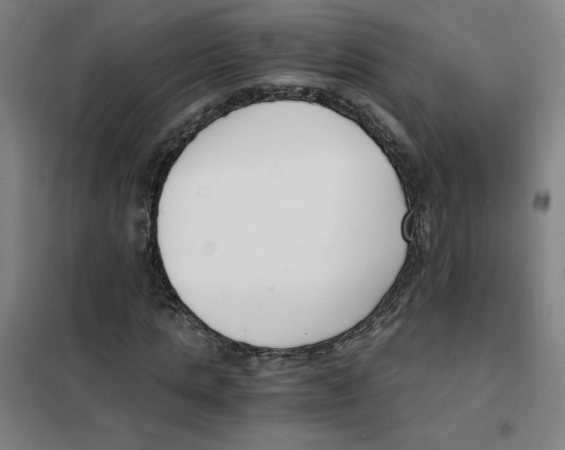 X0000101410821200808041102