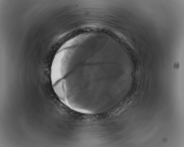 X0000101410822200808041102