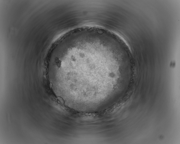 X0000101410823200808041102