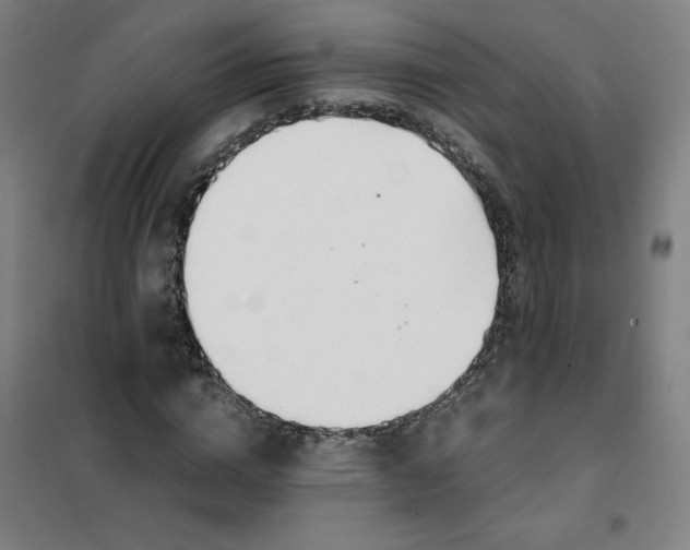 X0000101410824200808041102