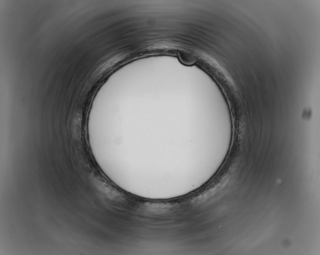 X0000101410825200808041102