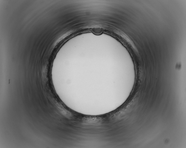 X0000101410826200808041102