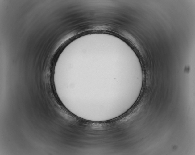 X0000101410827200808041102
