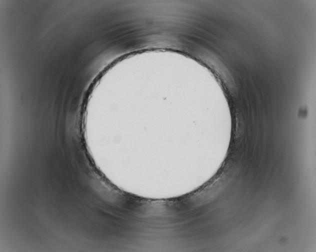 X0000101410828200808041102