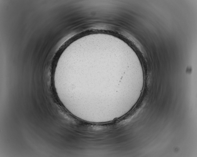 X0000101410829200808041102