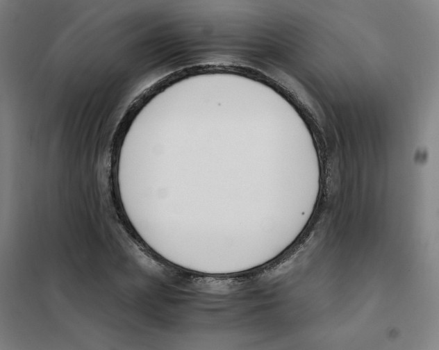 X0000101410831200808041102