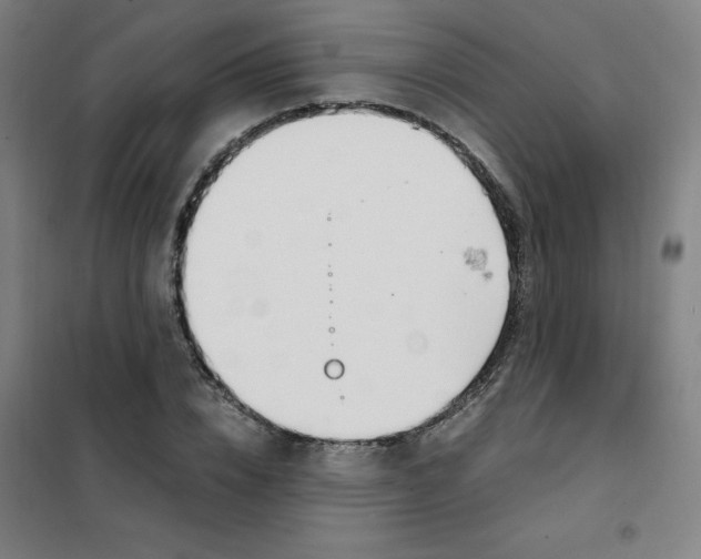 X0000101410832200808041102