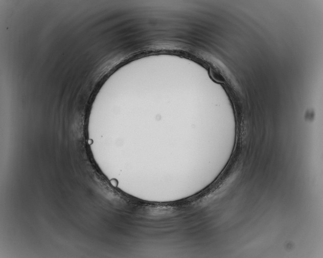 X0000101410833200808041102
