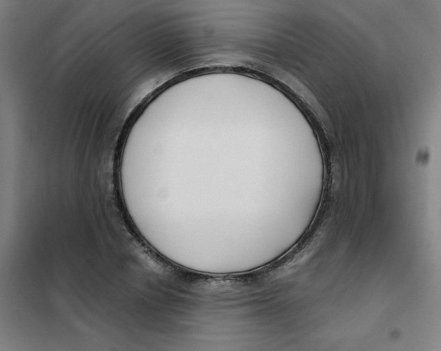 X0000101410834200808041102