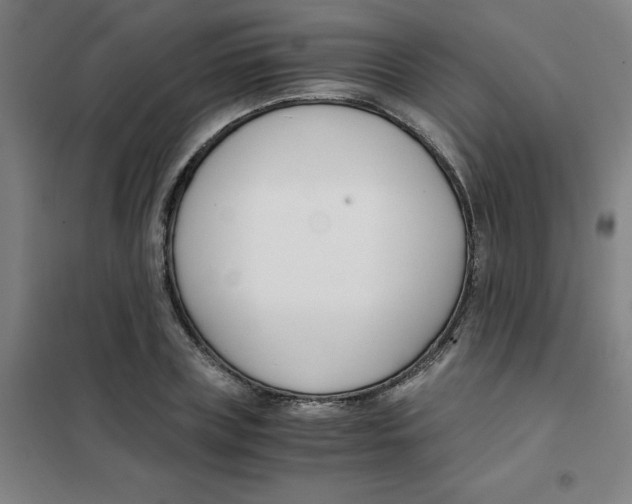 X0000101410835200808041102