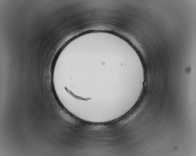 X0000101410837200808041102