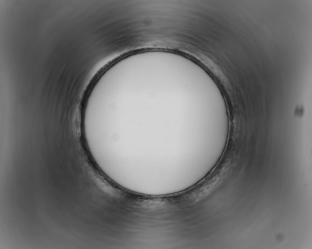 X0000101410838200808041102