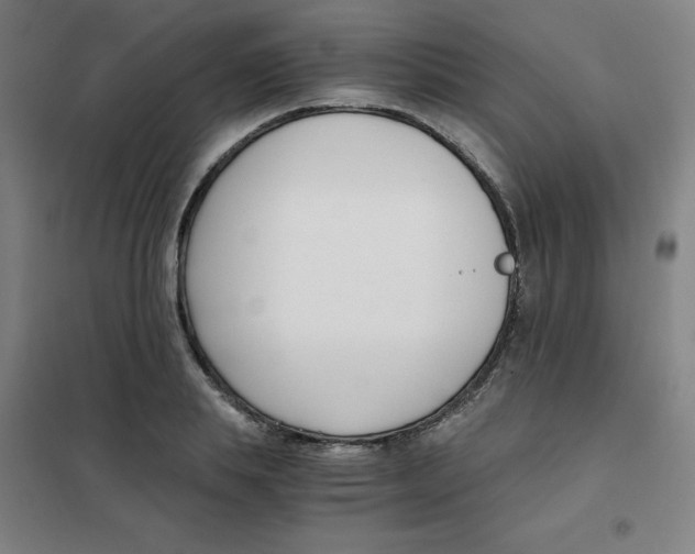 X0000101410839200808041102