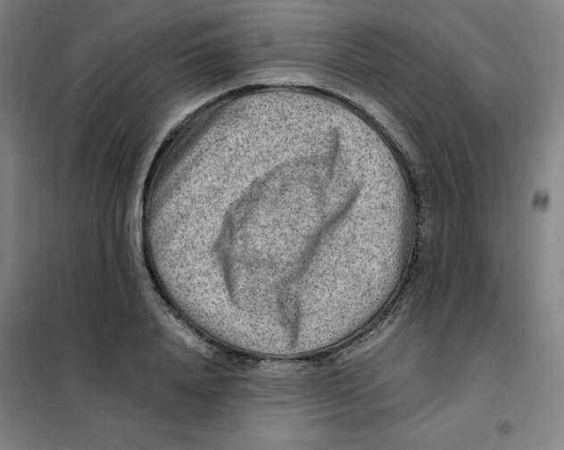 X0000101410840200808041102
