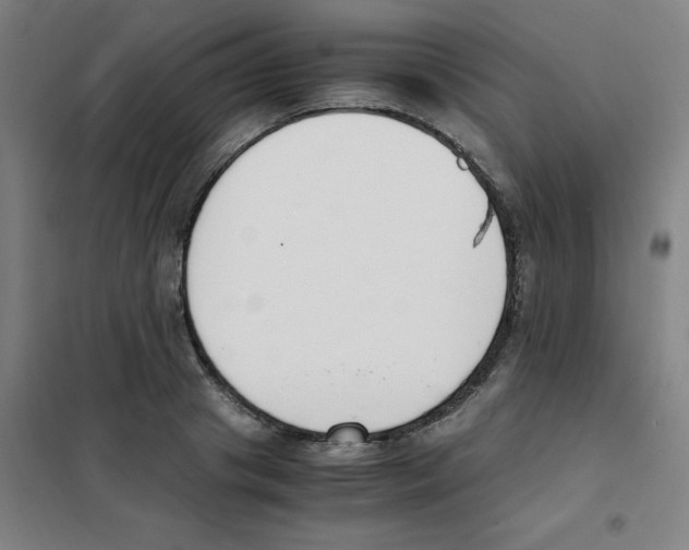 X0000101410841200808041102