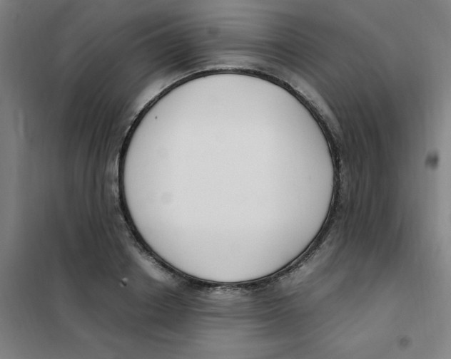 X0000101410842200808041102